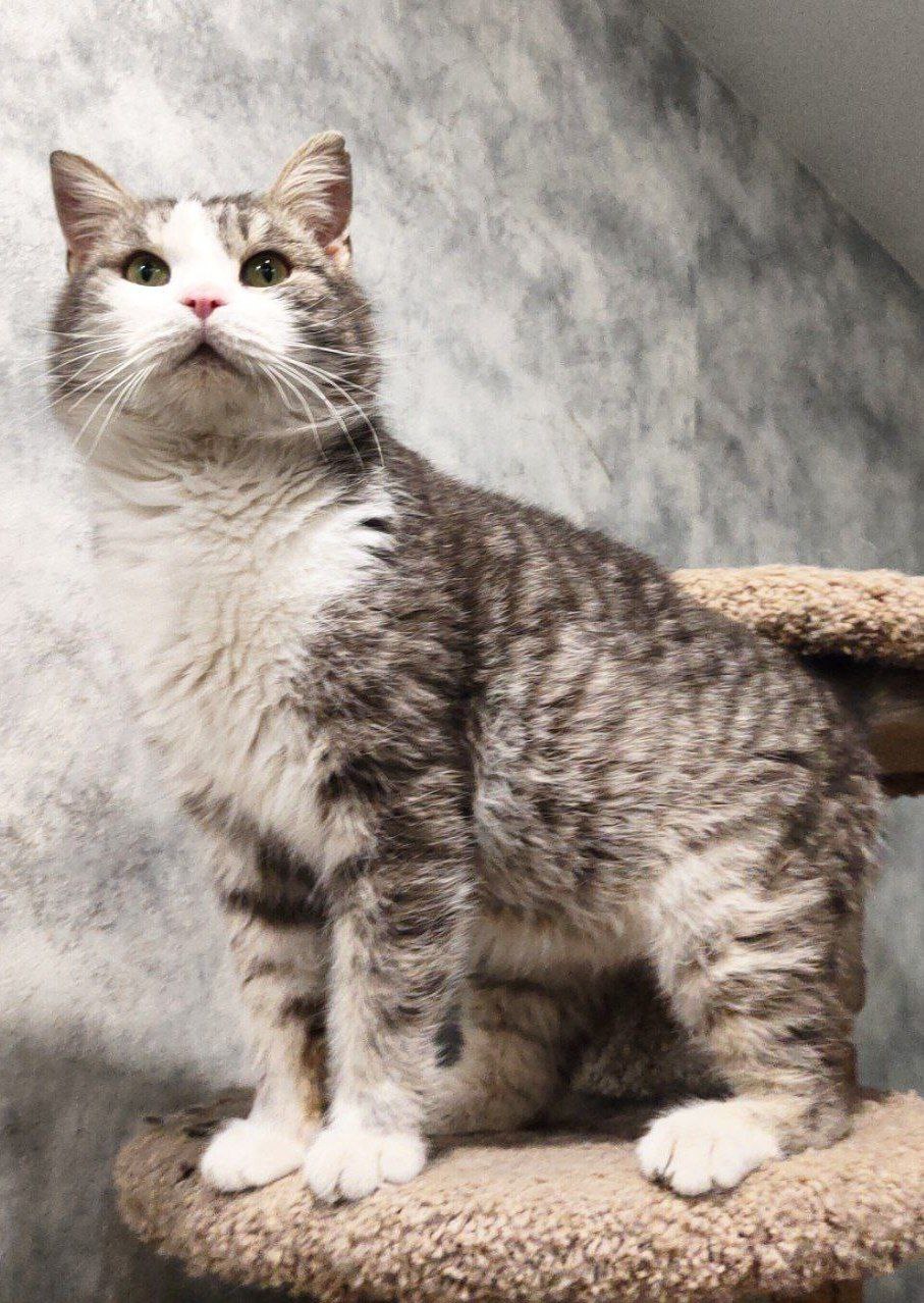 Василий Иванович