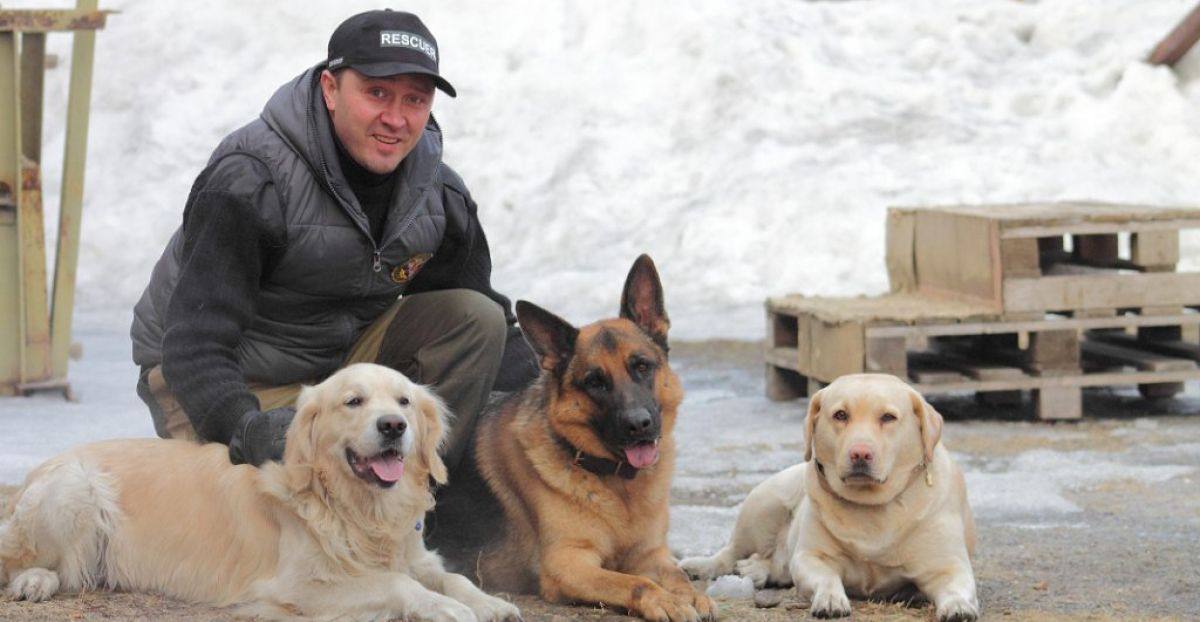 Бесплатный курс по дрессировке для владельцев приютских собак