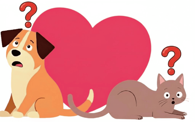 Почему стоит взять животное из приюта: истории владельцев